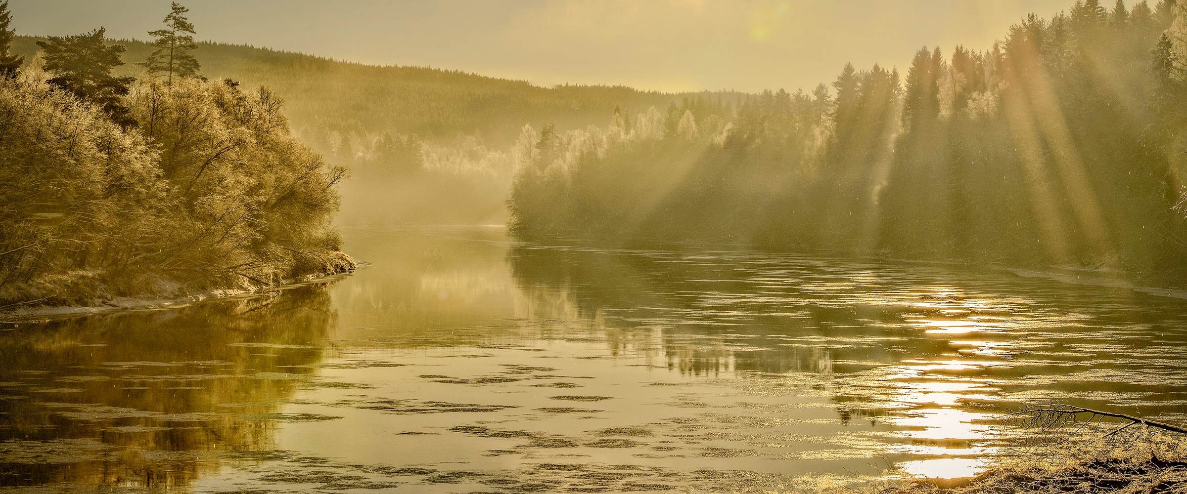 Klarälven vid Munkfors i morgonljus, med rimfrost på träden